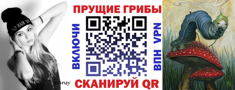 Купить где  Приозерск  Галлюциногенные грибы Cubensis 